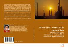 Copertina di Thermischer Zerfall eines organischen Wärmeträgers