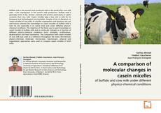 Copertina di A comparison of molecular changes in casein micelles