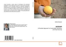 Buchcover von ecosan