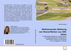 Copertina di Multisensorale Ableitung von Wasserflächen aus SAR-Daten