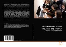 Buchcover von Small Accommodation Providers and ‘eWOM'