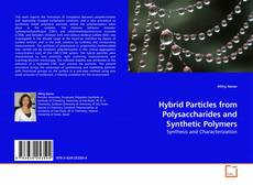 Copertina di Hybrid Particles from Polysaccharides and Synthetic Polymers