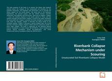 Copertina di Riverbank Collapse Mechanism under Scouring