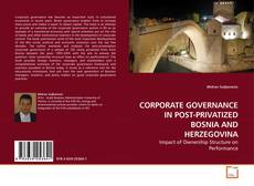 Buchcover von CORPORATE GOVERNANCE IN POST-PRIVATIZED BOSNIA AND HERZEGOVINA