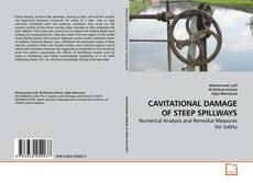 Copertina di CAVITATIONAL DAMAGE OF STEEP SPILLWAYS