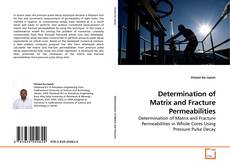Copertina di Determination of Matrix and Fracture Permeabilities