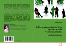 Capa do livro de Entlassungsmanagement im Spannungsfeld 