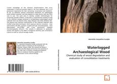 Couverture de Waterlogged Archaeological Wood