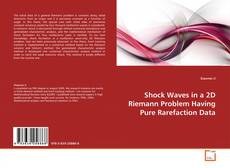 Bookcover of Shock Waves in a 2D Riemann Problem Having Pure Rarefaction Data