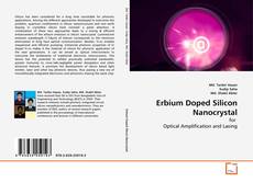 Erbium Doped Silicon Nanocrystal的封面
