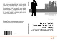 Private Tourism Investment Attraction in Bahir Dar city的封面