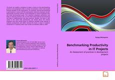 Buchcover von Benchmarking Productivity in IT Projects