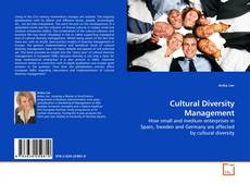Cultural Diversity Management kitap kapağı