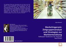 Marketingpraxis: Zielgruppenanalyse und Strategien zur Marktentwicklung的封面