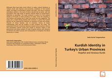 Buchcover von Kurdish Identity in Turkey's Urban Provinces