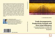 Capa do livro de Trade Arrangements, Productivity Growth and Firm Level Efficiency 
