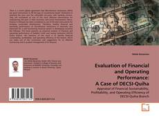 Copertina di Evaluation of Financial and Operating Performance: A Case of DECSI-Quiha