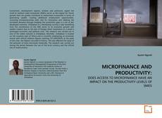 Couverture de MICROFINANCE AND PRODUCTIVITY: