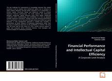 Couverture de Financial Performance and Intellectual Capital Efficiency