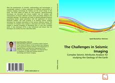 Bookcover of The Challenges in Seismic Imaging