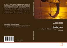 Обложка Sabke Lake