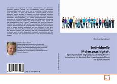 Portada del libro de Individuelle Mehrsprachigkeit