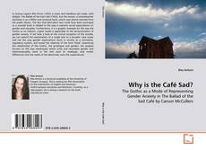 Buchcover von Why is the Café Sad?
