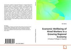 Borítókép a  Economic Wellbeing of Hired Workers in a Growing Regional Economy - hoz