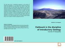 Copertina di Fieldwork in the discipline of Introductory Geology