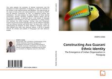 Bookcover of Constructing Ava Guaraní Ethnic Identity