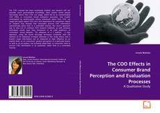 Portada del libro de The COO Effects in Consumer Brand Perception and Evaluation Processes