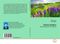 Couverture de Divine Healers