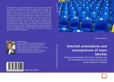 Buchcover von Selected antecedents and consequences of team identity