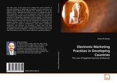Electronic Marketing Practises in Developing Countries的封面