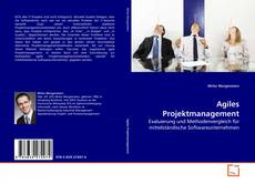 Bookcover of Agiles Projektmanagement