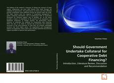 Copertina di Should Government Undertake Collateral for Cooperative Debt Financing?