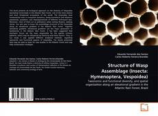 Bookcover of Structure of Wasp Assemblage (Insecta: Hymenoptera, Vespoidea)