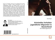Kriminelles Verhalten jugendlicher Migranten in Deutschland的封面