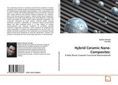Couverture de Hybrid Ceramic Nano-Composites: