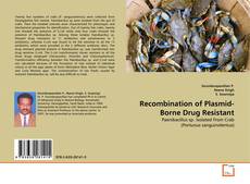 Couverture de Recombination of Plasmid-Borne Drug Resistant