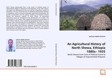 An Agricultural History of North Shewa, Ethiopia 1880s– 1935的封面
