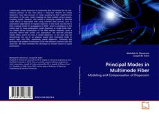 Borítókép a  Principal Modes in Multimode Fiber - hoz