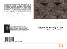 Couverture de Project on Paving Blocks