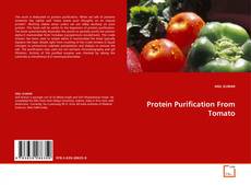 Protein Purification From Tomato kitap kapağı