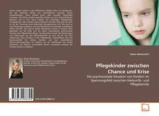 Buchcover von Pflegekinder zwischen Chance und Krise