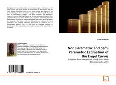 Portada del libro de Non Parametric and Semi Parametric Estimation of the Engel Curves
