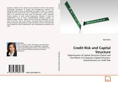 Copertina di Credit Risk and Capital Structure