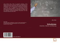 Bookcover of Schulstress