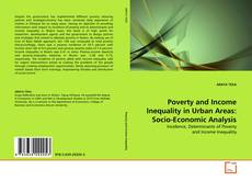 Poverty and Income Inequality in Urban Areas: Socio-Economic Analysis的封面