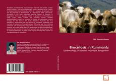 Couverture de Brucellosis in Ruminants